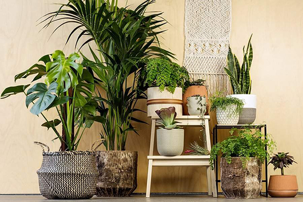 sắp xếp nội thất