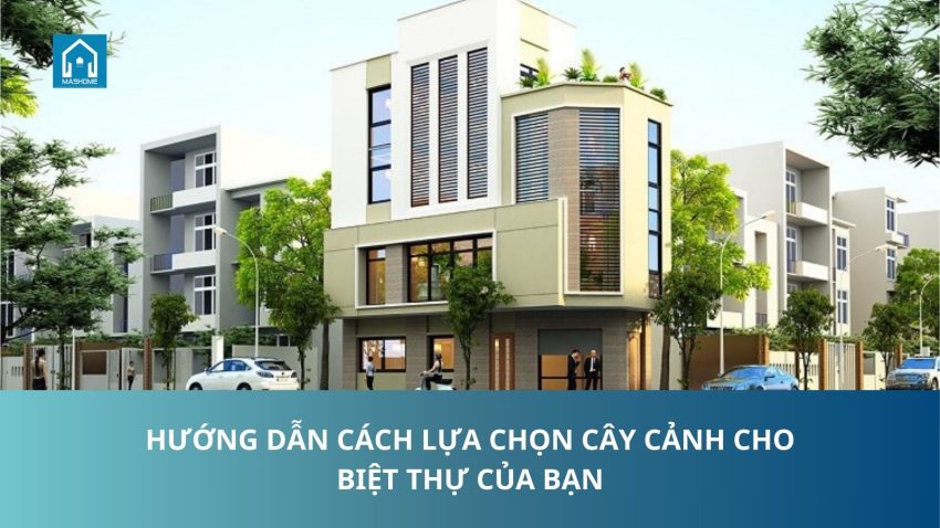 lựa chọn cây cảnh