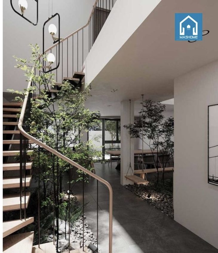 lựa chọn cây cảnh