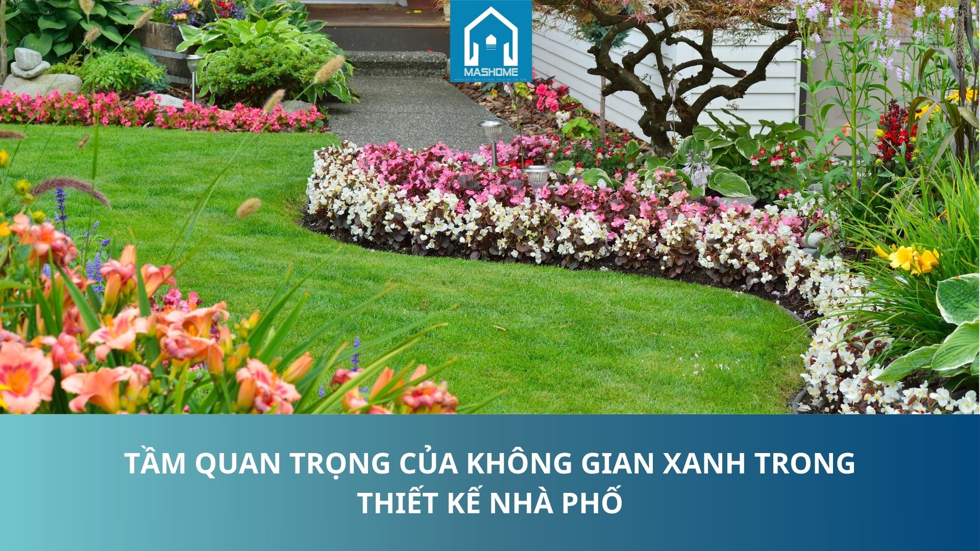 Tầm quan trọng của không gian xanh trong thiết kế nhà phố - M.A.S HOME ...