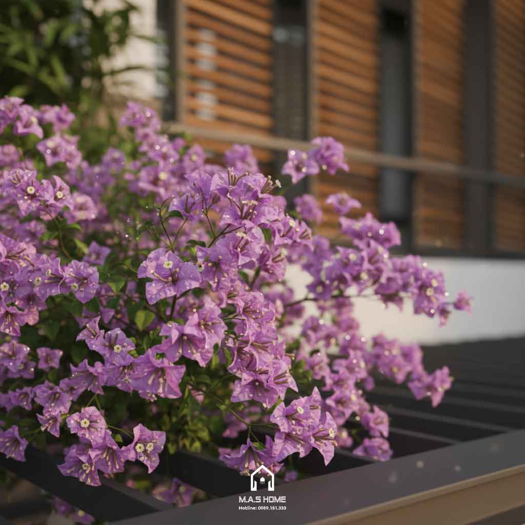 Nhà phố 3 tầng - Anh Phương - Bắc Giang 28 Nhà phố 3 tầng - Anh Phương - Bắc Giang